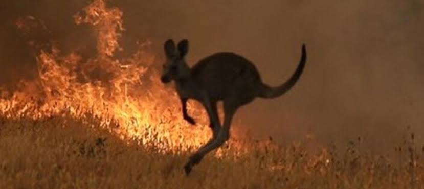 images?q=tbn:ANd9GcQnlT3NBYIUx02ugzdGvU7