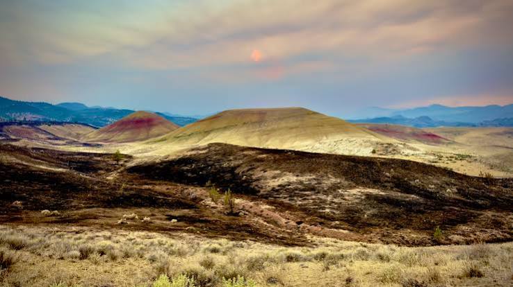Painted Hills charred by wildfire, national monument remains closed -  oregonlive.com
