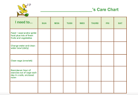 Pet Care Charts Printables Template For Pre K 2nd Grade