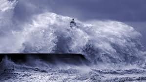 You searched for tsunami jawa timur. Zona Megathrust Alasan Banyuwangi Berpotensi Gempa M 8 7