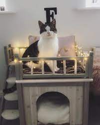 This room should be quiet and, for the time being, not for human use. 21 Ideas For Designing Organizing A Cat Room Extra Space Storage
