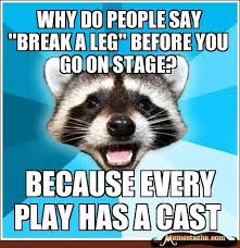 Pin On Lame Pun Coon Memes