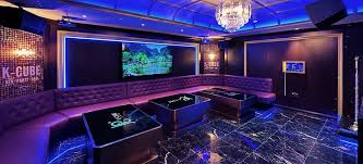 Premium Karaoke Bar Opening Hits The Right Notes | Merrion Centre