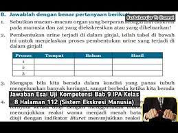 Soal essay ipa kelas 9 semester 1 dan. Jawaban Esai Uji Kompetensi Bab 9 Ipa Kelas 8 Halaman 112 Sistem Ekskresi Manusia By Basbahanajar