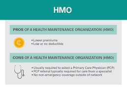 A health maintenance organization (hmo) plan is one of the cheapest types of health insurance. What Is An Hmo About Hmo Health Insurance Medical Mutual