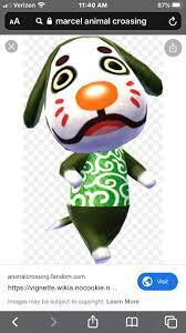His english name comes from sucker, like those found on an octopus's tentacles, while his japanese name and overall appearance refer to takoyaki, a popular japanese food made with octopus. Marcel Is My Baby Has Anyone Seen Him In New Horizons Animalcrossing
