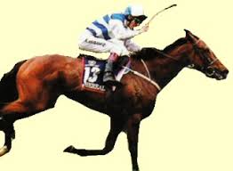 Ethereal racehorse Melbourne Cup winner