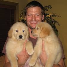Maybe you would like to learn more about one of these? Brody S Golden Retriever Puppies Home Facebook