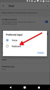 (2) mematikan mute mic peserta yang berisi. Cara Mengubah Asisten Google Untuk Mengetik Bukannya Suara Secara Default Bagaimana Caranya Kiat Komputer Dan Informasi Berguna Tentang Teknologi Modern