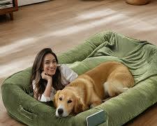 person choosing a dog blanketの画像