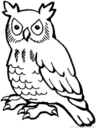 Perhaps it's because they're the cutest birds of prey; Free Printable Owl Coloring Pages For Kids