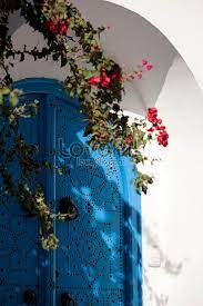 تونس سيدي بوسا الباب الأزرق blue blue door painting