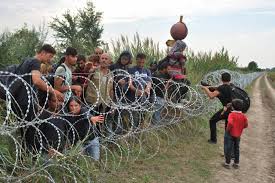 Los refugiados llegan a hungría en busca de mejores condiciones de vida, debido a los desplazamientos que han generado conflictos como las intervenciones militares de la organización. Hungria Termina Su Kilometrica Valla Anti Inmigrantes Internacional El Mundo