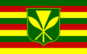 3 Home Hawaii Nei Historical Flags Hawaii Flag Displaying The American Flag