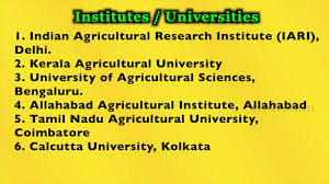 What Is Floriculture Horticulture Engineering Course After Class 12 Youtube