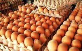 We did not find results for: Distributor Telur Medan Beranda Facebook