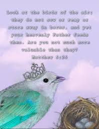 Look At The Birds Of The Air Kjv Matthew 6 26 Encouragement Quotes Christian Inspirational Scripture Sweet Quotes