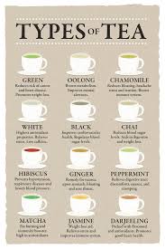 details about types of tea and their benefits chart varieties beige poster 12x18