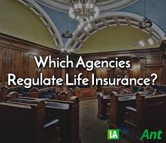 How are insurance companies regulated. Which Agencies Regulate Life Insurance Life Ant