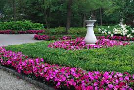 Pin By Telma Barroso On All Colors Bright And Beautiful Beautiful Gardens Garden Front Of House Shade Garden