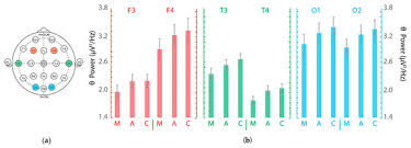 Bunga selalu identik dengan kecantikan dan keindahan. Brain Sciences Free Full Text Eeg Theta Power Activity Reflects Workload Among Army Combat Drivers An Experimental Study Html