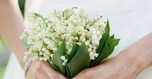 Maybe you would like to learn more about one of these? 23 Beautiful Lily Of The Valley Wedding Bouquets