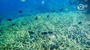 We did not find results for: 5 Ancaman Untuk Laut Kita