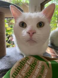 2 meat pies 🥧 and 20 cigs that's what are Fred was made of