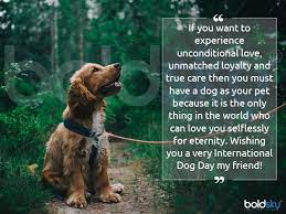The date august 26, 2004 holds special significance for the founder of international. International Dog Day 2021 History And How To Celebrate This Day Boldsky Com