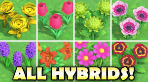 Black And Pink Roses Animal Crossing All Hybrid Flowers In Animal Crossing New Horizons How To Grow Them Easy Youtube In 2020 Animal Crossing Pansies Flowers Animal Crossing Game
