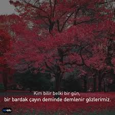 Özlü, kısa çay sözleri ve atasözleri! Cay Ile Ilgili Sozler 2021 En Guzel Ve Resimli Cay Sozleri