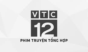 Vietnam: VTC12