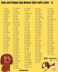 Here is the complete list of popular male and female dog names that start with the letter c. Dog Names That Start With C For Girl And Boy Dog