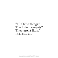 66 little things in life quotes to appreciate small things. Pin By Natie Kohler On Joy Of Life Words Quotes Relatable Quotes Inspirational Words