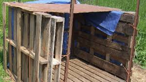 4k and hd video ready for any nle immediately. 25 Cheap Easy Goat Shelter Ideas Using Diy Pallets