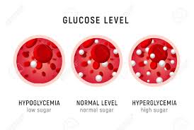Glucose Blood Level Sugar Test Diabetes Insulin Hypoglycemia