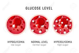 glucose blood level sugar test diabetes insulin hypoglycemia