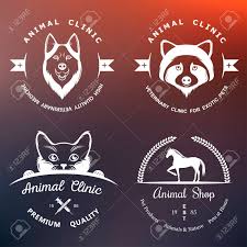 A reddit for exotic pet owners and potential future exotic pet owners. Set Of Vintage And Elements For Pet Shop Pet House Pet And Royalty Free Cliparts Vectors And Stock Illustration Image 43781737