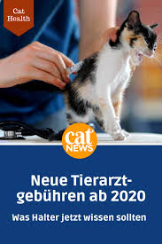 Neue Tierarztgebuhren In 2020 Was Katzen Und Hundehalter Jetzt Wissen Mussen Katzenkrankheiten Tierarzt Katzen