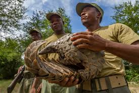 Displayed here are job ads that match your query. How To Be A Conservationist National Geographic Society Newsroom