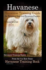 havanese havanese training guide for havanese dogs and