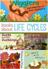pin on animal activities