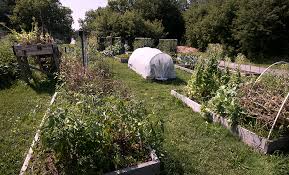 How to get a raised garden bed ready for planting. How To Prepare A Raised Garden Bed For Winter Hello Homestead