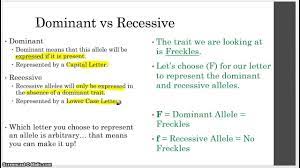 This is regardless of whether there are one or two copies of the allele present. Unit 8 Genetics 3 Dominant And Recessive Alleles Youtube