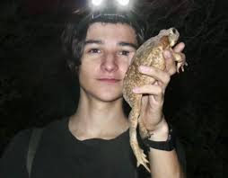 Saw this cane toad which is larger than my hand. Cane toads are also known  as giant neotropical toad or marine toad is a species from the genus  Rhinella. Although they are