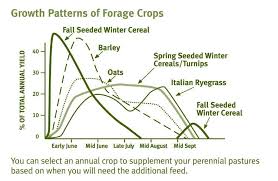 Annual Crops An Excellent Way To Increase Your Feeding