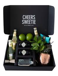 Cocktail Kit Gift Box Cheers Sweetie Cocktail Kit Gift Cocktail Gifts Cocktail Kits