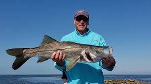 January's pretty good in cape coral, so you can expect some nicely sized snook and redfish in the area. New Port Richey Snook Fishing Angling Adventures