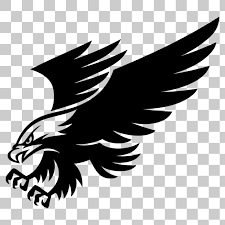 Eagle Hawk Kite Bird Png Image With Transparent Background Eagle Images Bird Illustration Eagle Vector