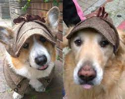 Tweed Deerstalker Hat With Ear Holes For Corgis Medium Large Etsy Dog Hat Corgi Dog Bowtie